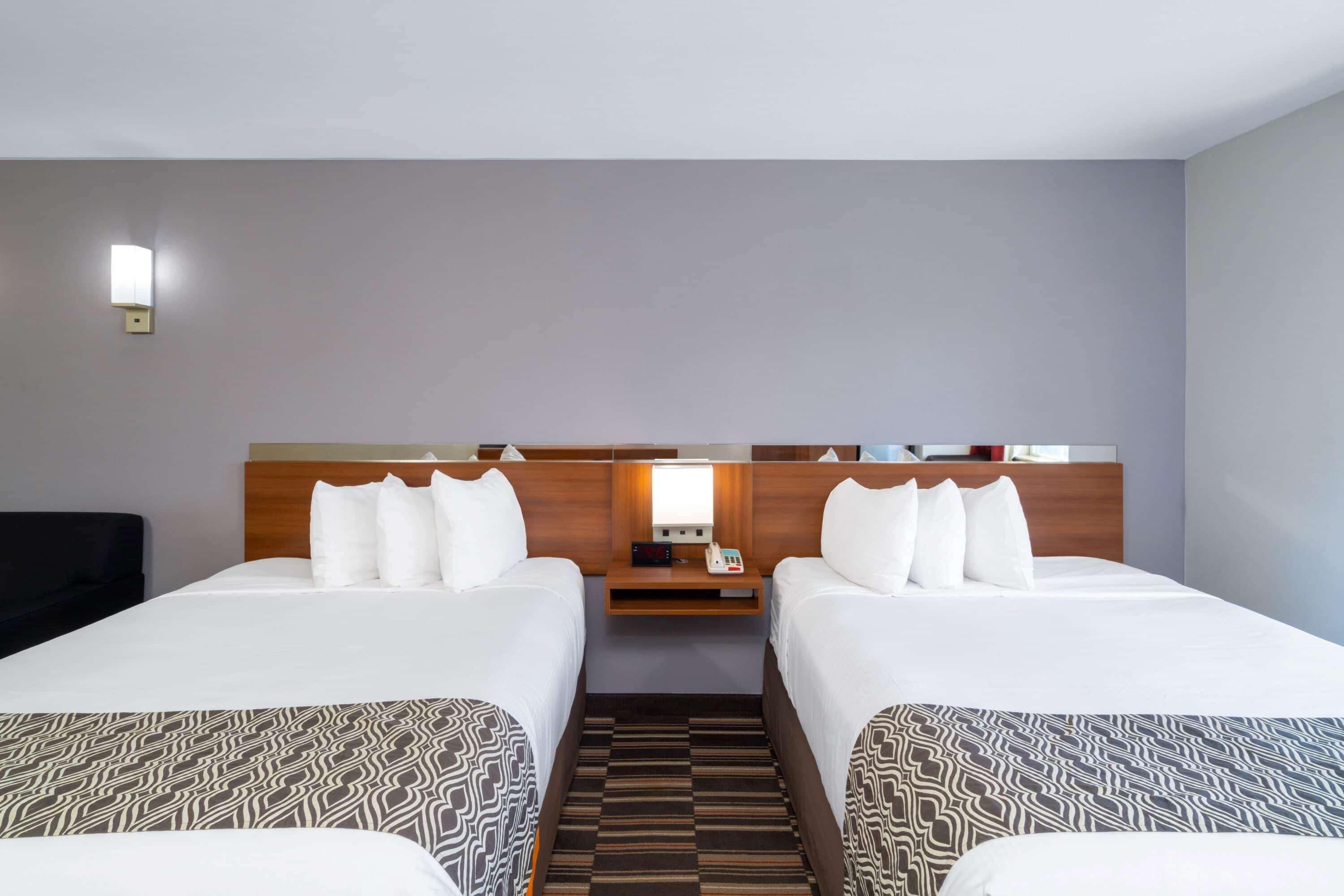 Microtel Inn & Suites By Wyndham Savannah/Pooler Buitenkant foto